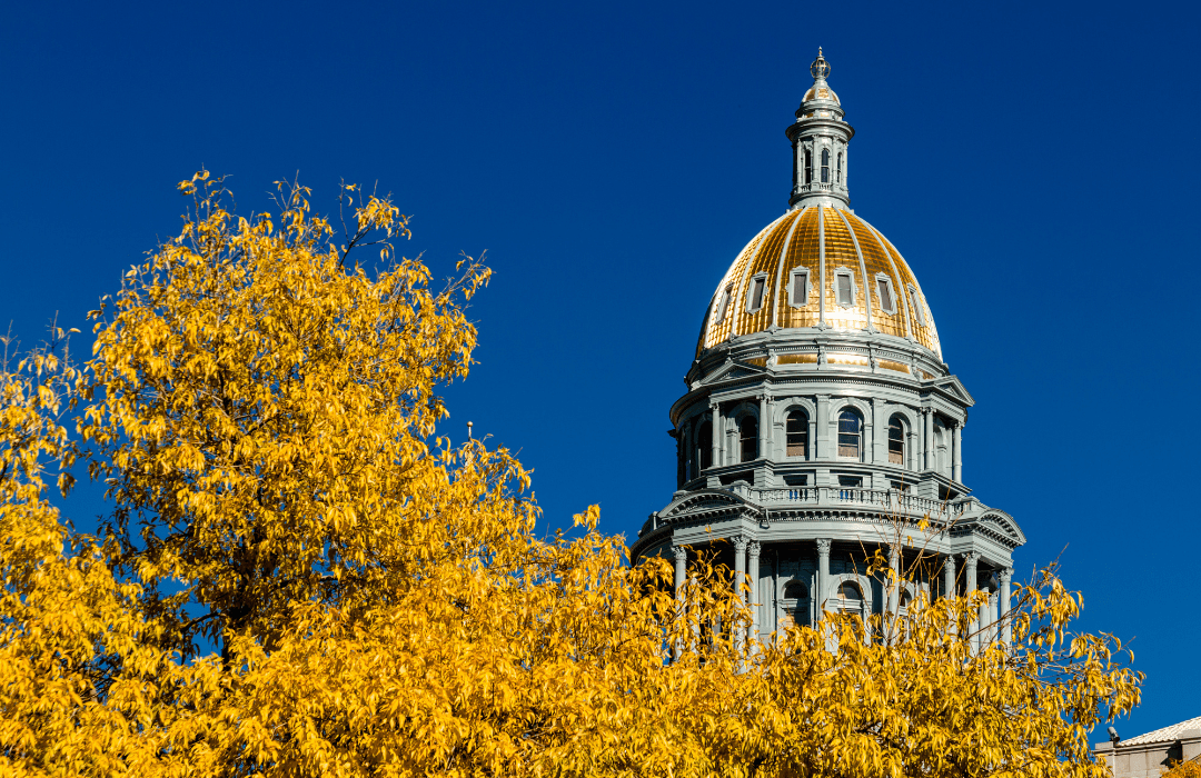 Capital building in Denver with yellow trees around it